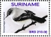 Sooty Tyrannulet Serpophaga nigricans