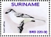 Suiriri Flycatcher Suiriri suiriri