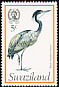 Black-headed Heron Ardea melanocephala  1976 Birds 