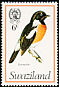 African Stonechat Saxicola torquatus  1976 Birds 