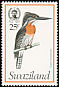 Giant Kingfisher Megaceryle maxima  1976 Birds 