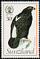 Verreaux's Eagle Aquila verreauxii  1976 Birds 
