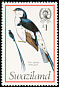 Pin-tailed Whydah Vidua macroura  1976 Birds 