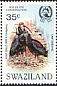 Southern Bald Ibis Geronticus calvus  1984 Wildlife conservation, Bald Ibis 