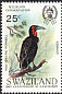 Southern Ground Hornbill Bucorvus leadbeateri  1985 Audubon 