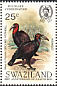 Southern Ground Hornbill Bucorvus leadbeateri  1985 Audubon 