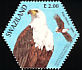 African Fish Eagle Haliaeetus vocifer  2004 SAPOA 