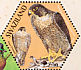Peregrine Falcon Falco peregrinus  2004 SAPOA Sheet