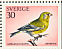 European Greenfinch Chloris chloris  1970 Christmas Booklet