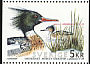 Red-breasted Merganser Mergus serrator  1993 Sea birds Booklet