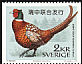 Common Pheasant Phasianus colchicus