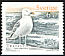 European Herring Gull Larus argentatus  2001 Birds 