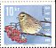 Yellowhammer Emberiza citrinella  2004 Winter birds Booklet