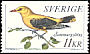 Eurasian Golden Oriole Oriolus oriolus