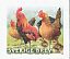 Red Junglefowl Gallus gallus  2012 Domestic fowl races 4v booklet, sa