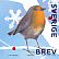 European Robin Erithacus rubecula  2018 Winterbirds Booklet, sa