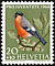 Eurasian Bullfinch Pyrrhula pyrrhula