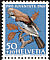 Eurasian Jay Garrulus glandarius