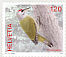 Grey-headed Woodpecker Picus canus  2008 Birds From set sheet, sa