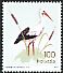 White Stork Ciconia ciconia  2013 Stork 
