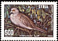 European Turtle Dove Streptopelia turtur