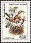 House Sparrow Passer domesticus  1991 Birds 