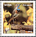 Bluethroat Luscinia svecica  1995 Birds 