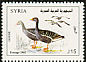 Greylag Goose Anser anser  2002 Birds Strip