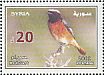 Common Redstart Phoenicurus phoenicurus