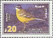 Western Yellow Wagtail Motacilla flava  2009 Birds 