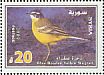 Western Yellow Wagtail Motacilla flava