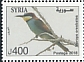 European Bee-eater Merops apiaster  2018 Birds 