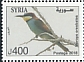 European Bee-eater Merops apiaster