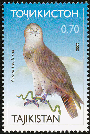 Birds on stamps: Tajikistan Text only, with links to images