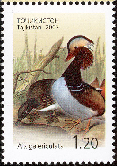 Birds on stamps: Tajikistan Text only, with links to images
