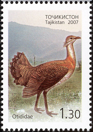 Birds on stamps: Tajikistan Text only, with links to images