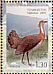 Great Bustard Otis tarda  2007 Birds Sheet, stamps with coloured frames