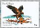 Golden Eagle Aquila chrysaetos  2016 Eagles 