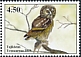 Boreal Owl Aegolius funereus