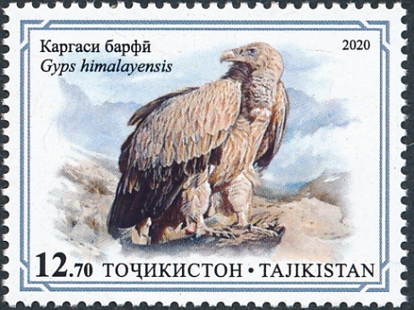 Birds on stamps: Tajikistan Text only, with links to images