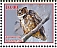 Great Horned Owl Bubo virginianus  2023 Owls 