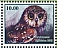 Northern Saw-whet Owl Aegolius acadicus