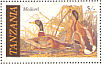 Mallard Anas platyrhynchos  1986 Audubon Sheet