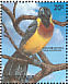 Long-tailed Paradise Whydah Vidua paradisaea  1989 Birds Sheet