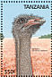 Common Ostrich Struthio camelus  1989 Birds  MS MS