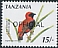 Southern Red Bishop Euplectes orix