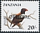 Bateleur Terathopius ecaudatus