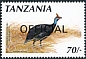 Helmeted Guineafowl Numida meleagris