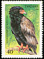 Bateleur Terathopius ecaudatus  1994 Birds of prey 