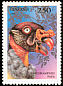 King Vulture Sarcoramphus papa  1994 Birds of prey 